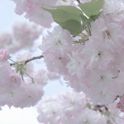 Furry插画光影解析干货福瑞交流群